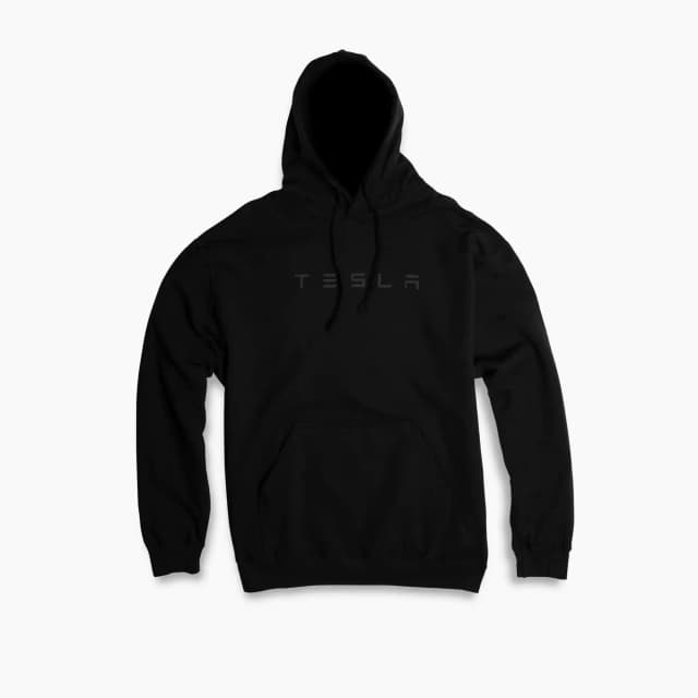 Product: 3D Large Wordmark Pullover Hoodie image